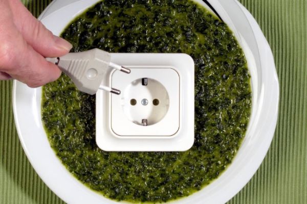 Equipo doméstico de biomasa para generar electricidad